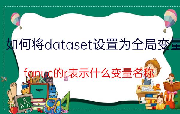 如何将dataset设置为全局变量 fanuc的r表示什么变量名称？